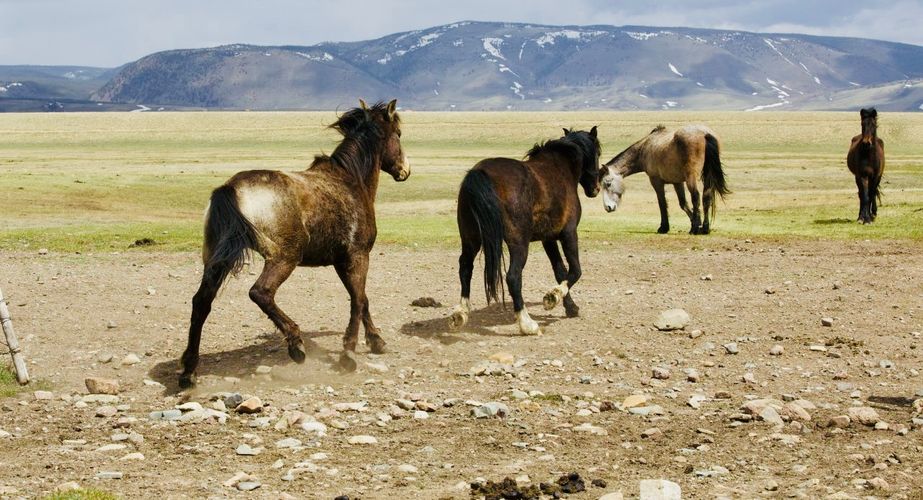 Wyoming Office of Tourism 13 Wyoming Office of Tourism 13